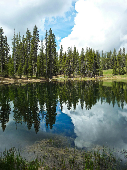 Little Medicine Lake