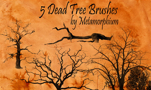 5 Dead Tree Brushes