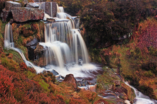 The Bronte Waterfall
