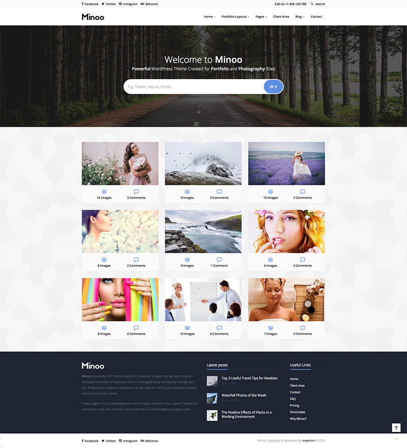 business portfolio theme