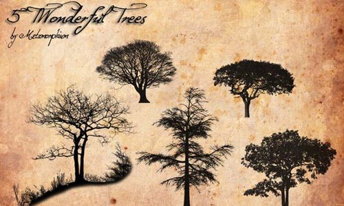 5 Trees