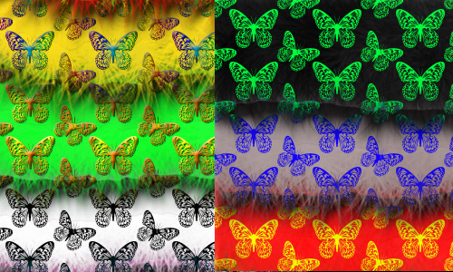 Butterfly Patterns