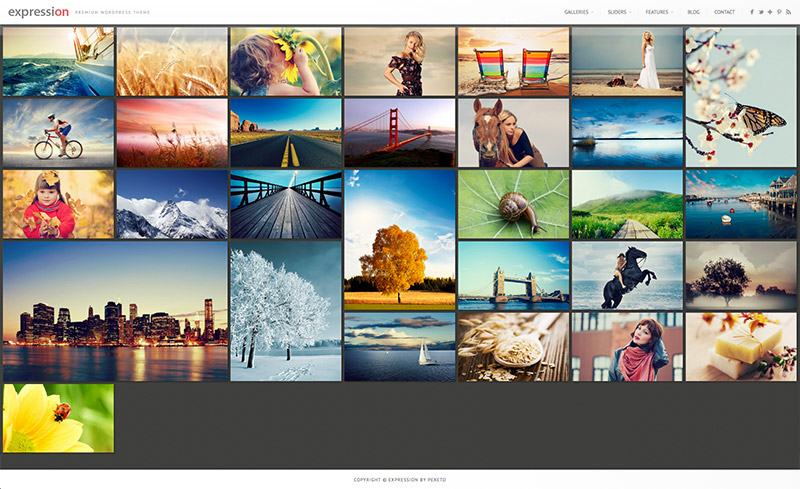 50 WordPress Themes for Photographers | Naldz Graphics