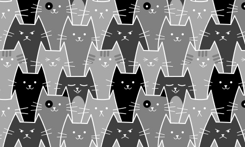 cats black and white patterns
