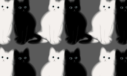 kitten black and white patterns