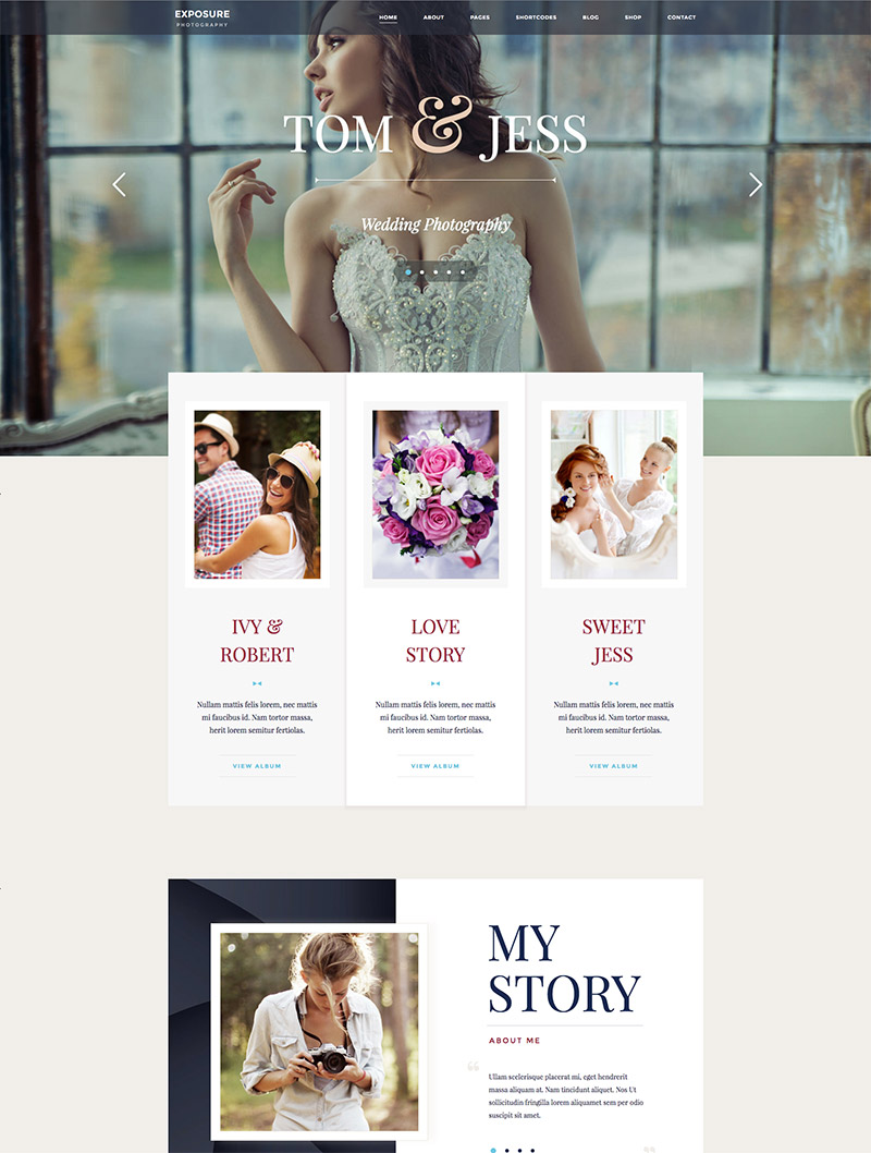 responsive theme website