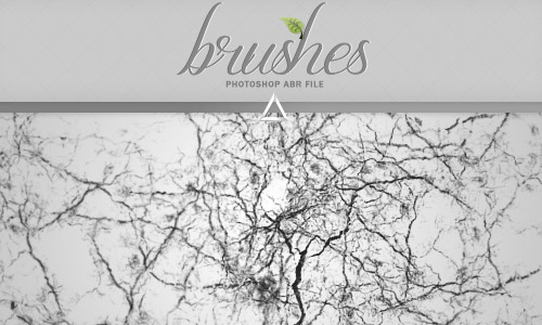 brushes crack free photoshop