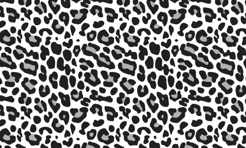 leopard patterns black white