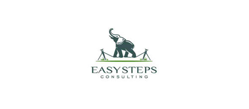 Easy Steps logo