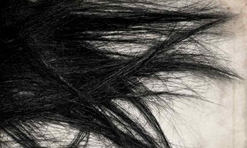 photoshop hairs