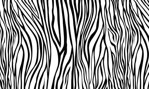 Seamless Pattern Zebra