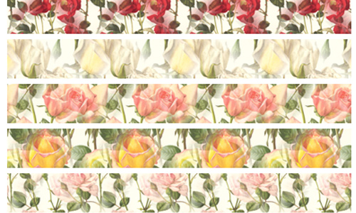 Rose Patterns