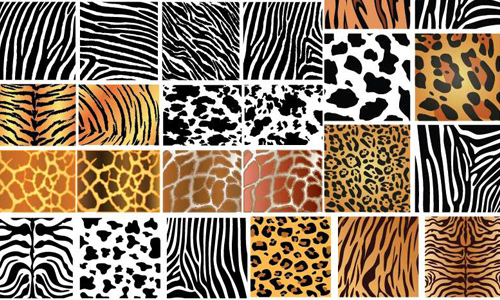 Animal Skin Patterns