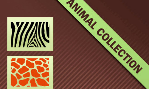 Animal Patterns