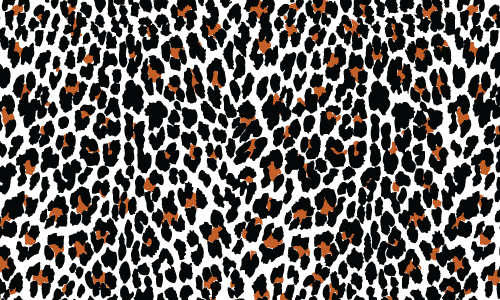 Leopard Pattern Vector