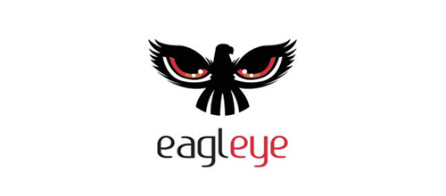Eagleye logo