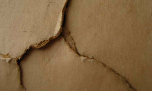 Close Up Torn Paper Texture
