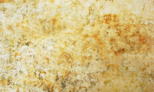 Really Attractive Plaster Texture