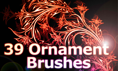 39 Floral Ornament Brushes