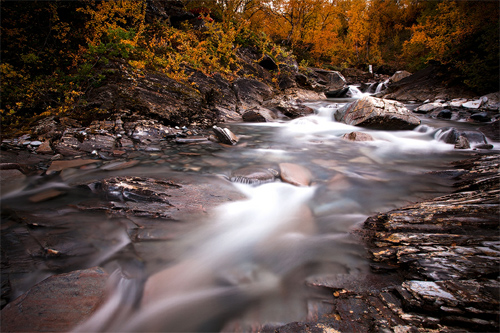 Autumn River