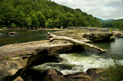 Tygart River III