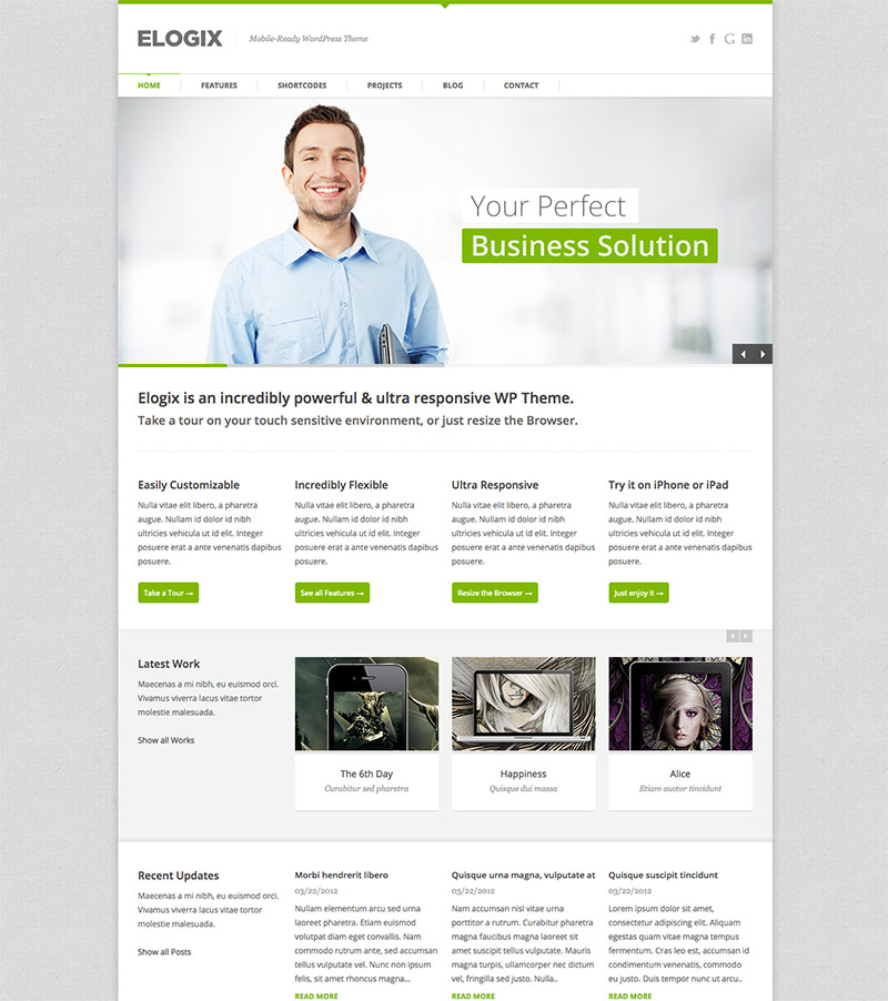 customizable wordpress premium