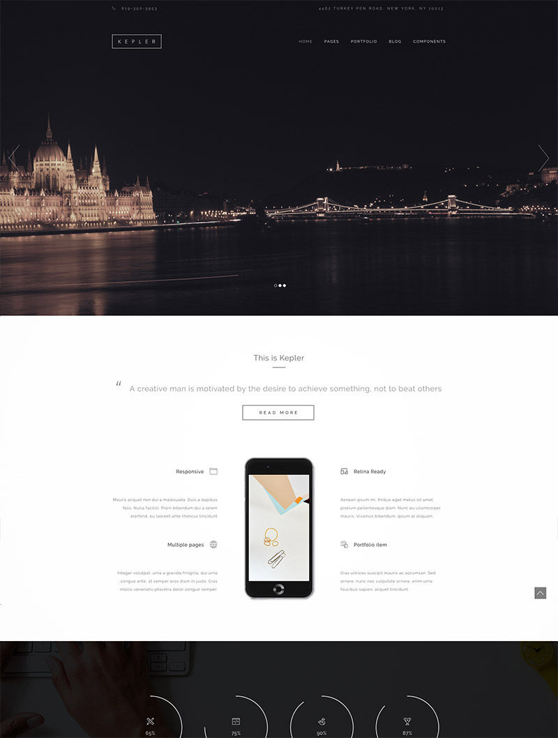 latest wordpress theme