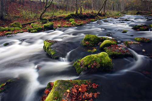 River in Countryside