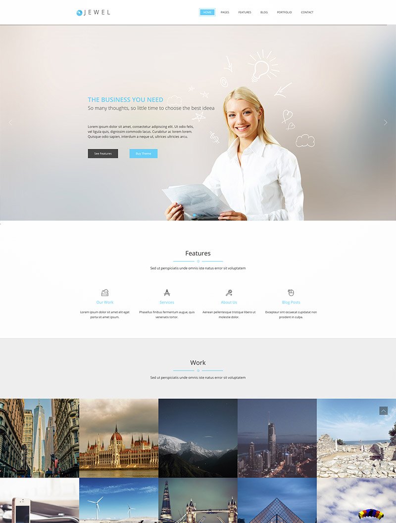 professional wordpress website