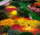 30 Breathtaking Examples of Garden Wallpaper