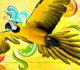 Attractive Collection of Parrot Wallpapers