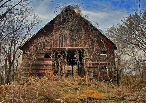 Abandoned Barn