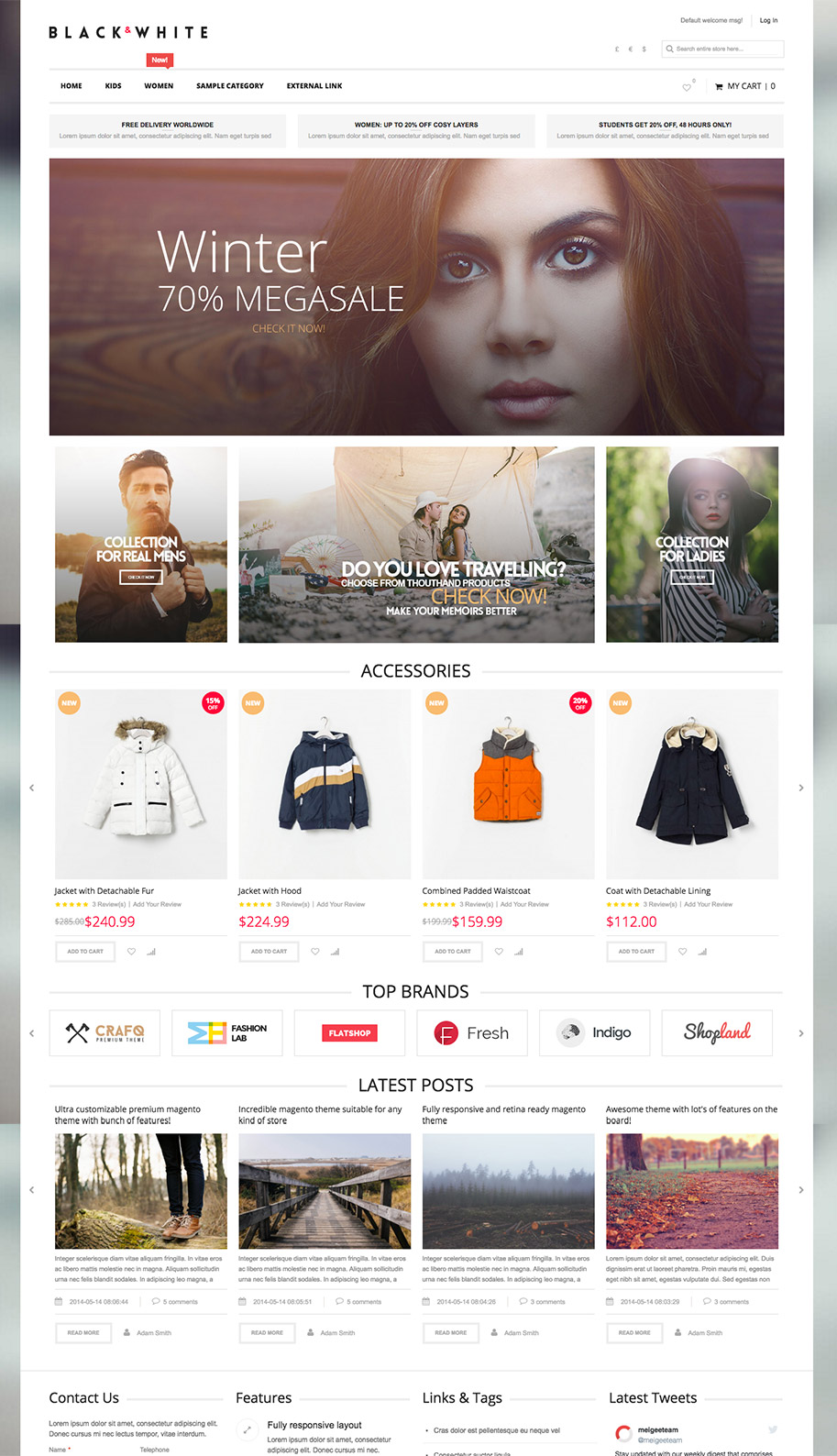 premium magento theme