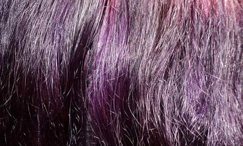 dans hair purple