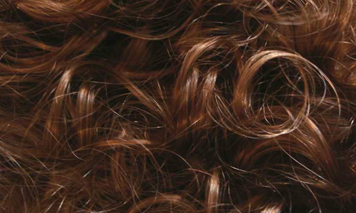 Brown Curls