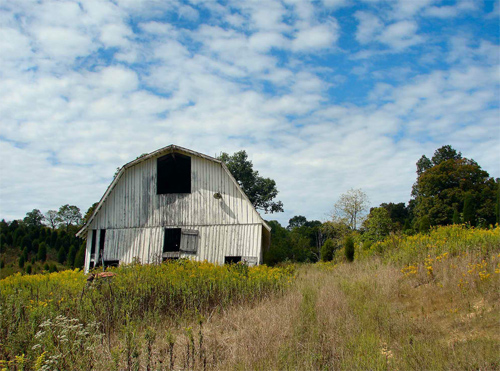 Barn