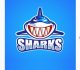 A Fierce Collection of Shark Logo