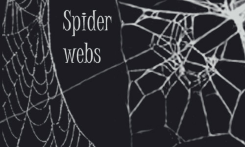 Spider web brushes