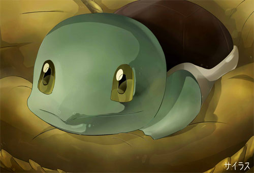 Pokemon Squirtle Silvestre