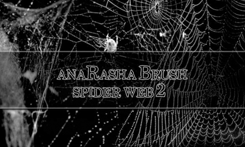spider web brush 2