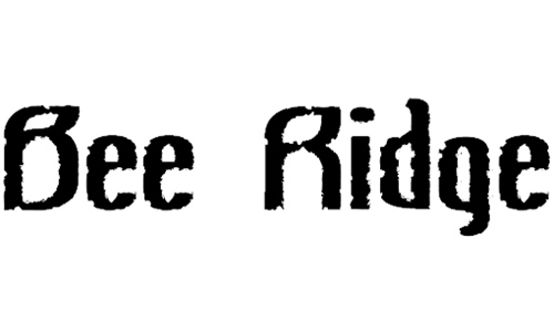 Bee Ridge Vintage font