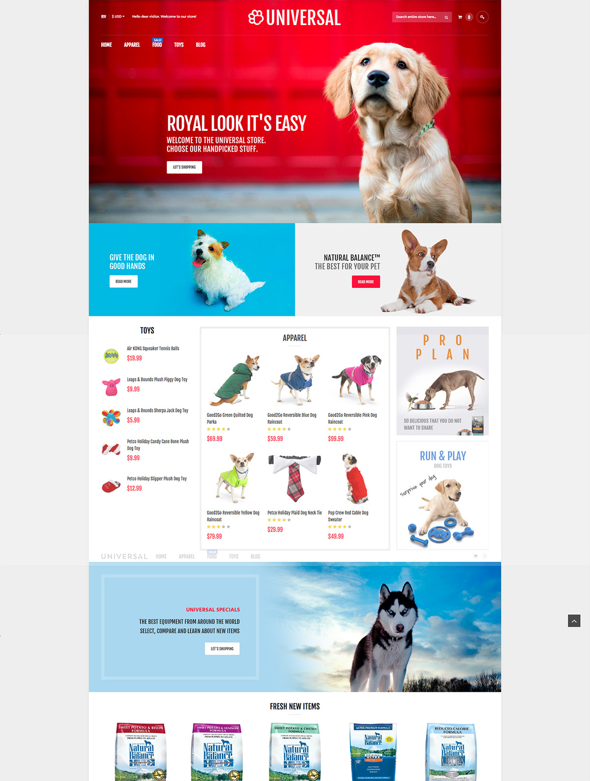 responsive magento theme