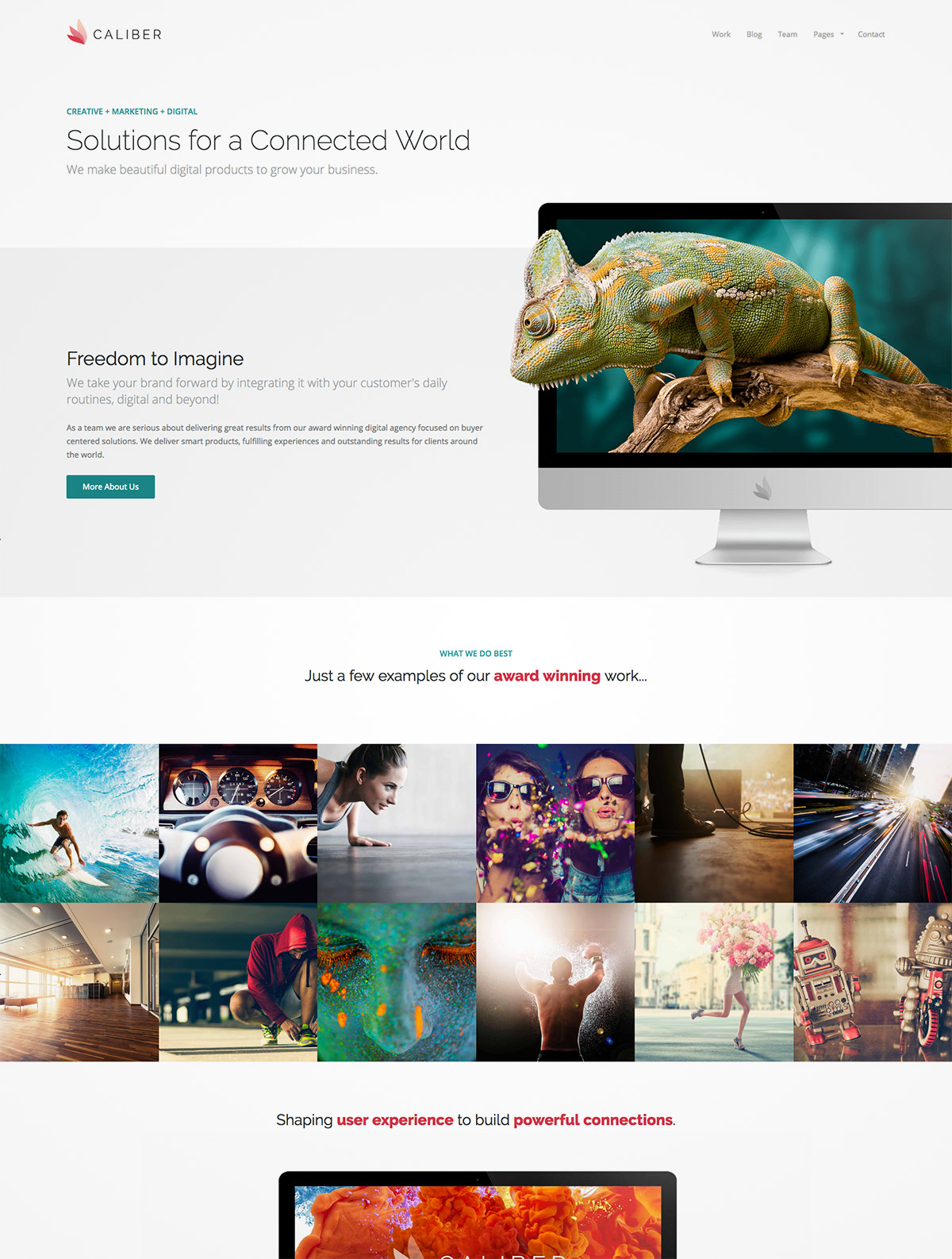 responsive wordpress theme