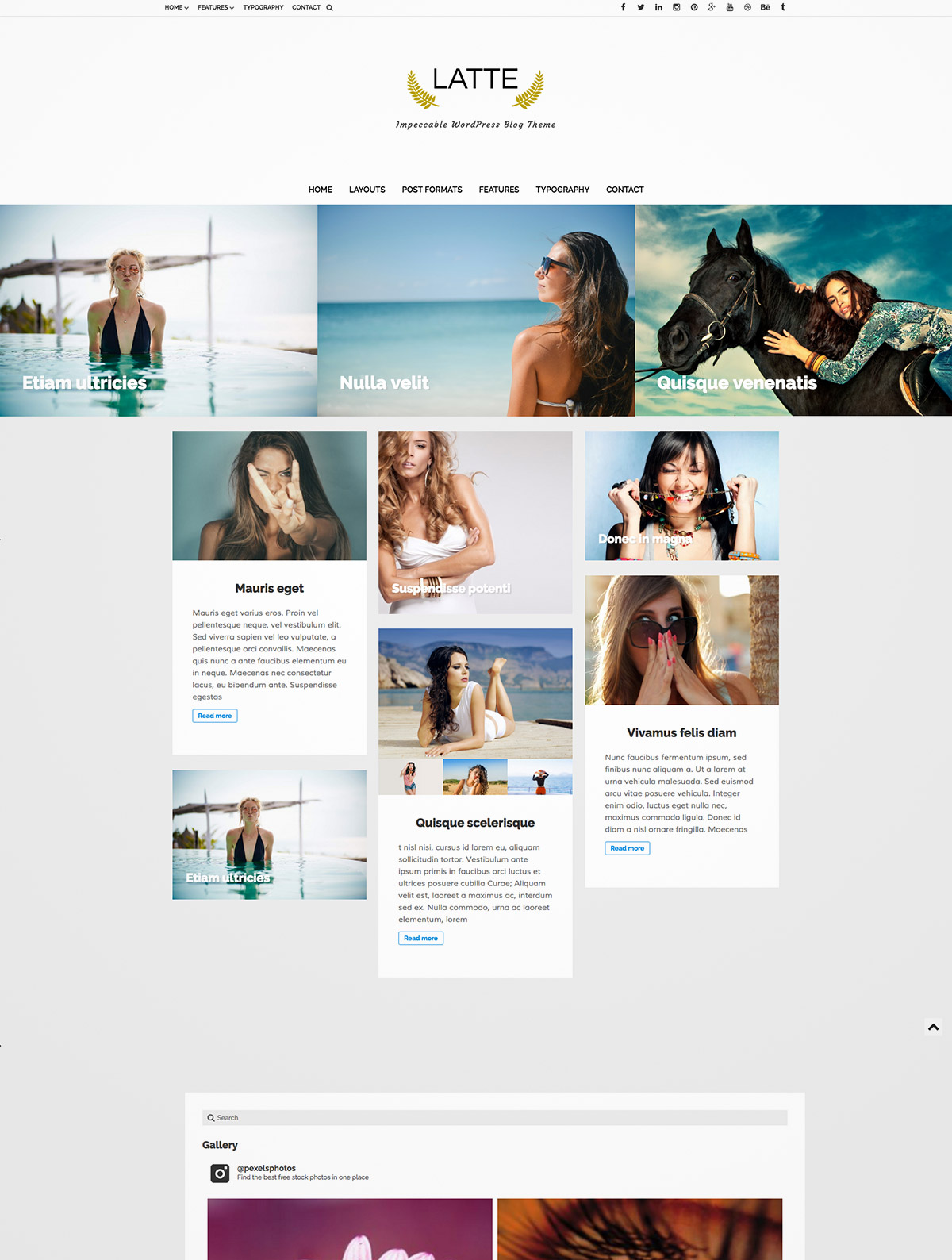 wordpress blog themes