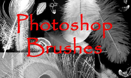 Photoshop FEATHER Brushes