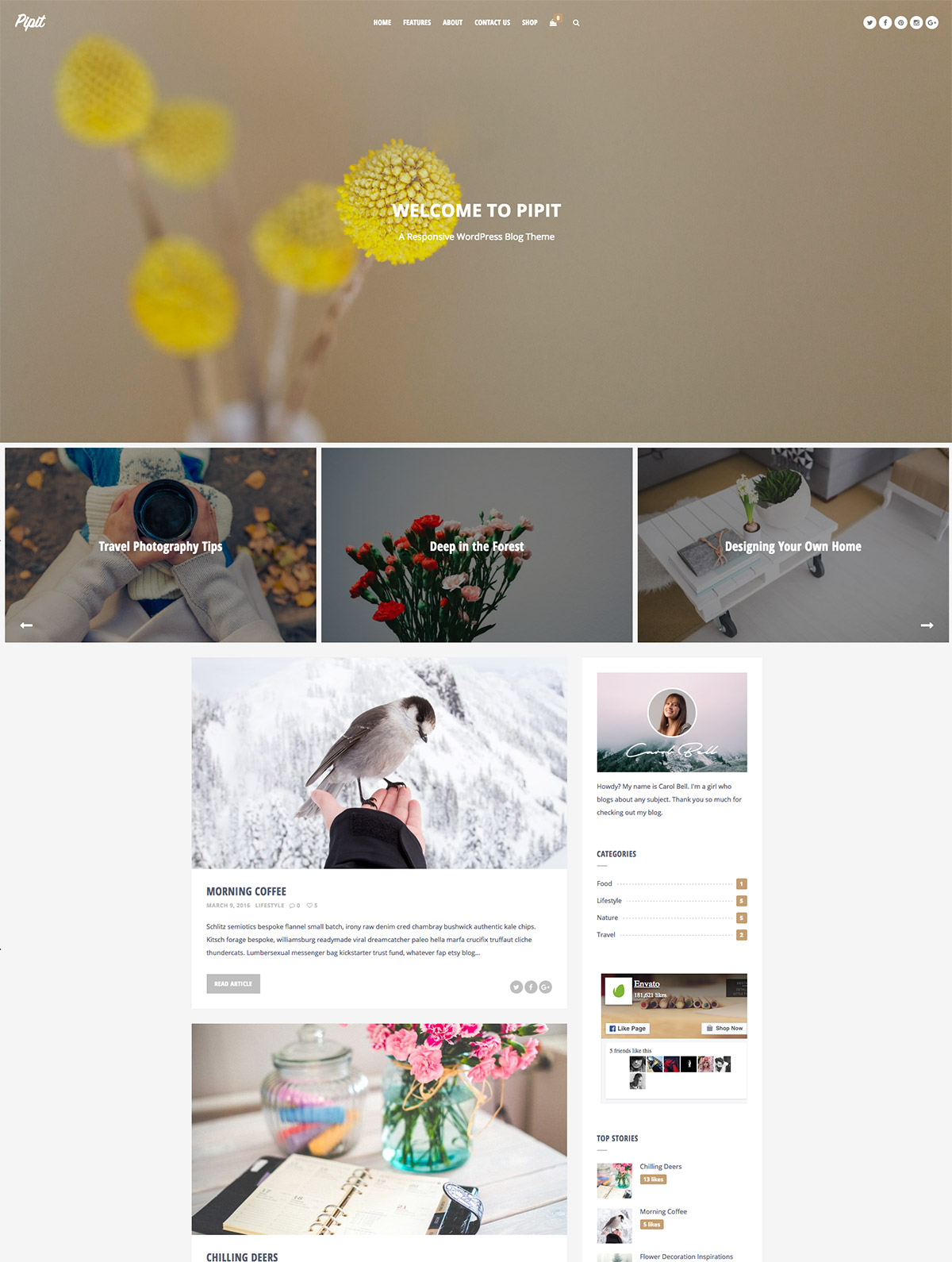 elegant theme responsive