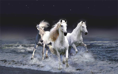 WHITE HORSES Wallpaper