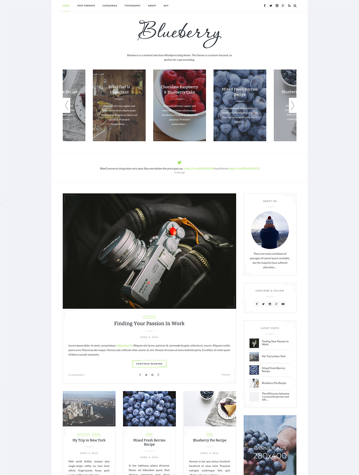 fast wordpress theme