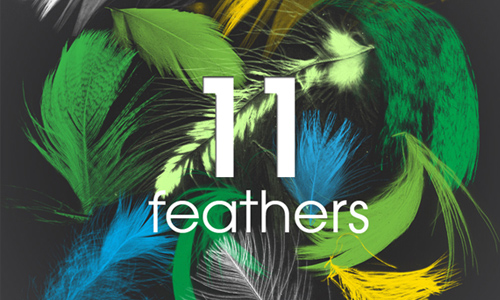 11 Feathers - PS brush