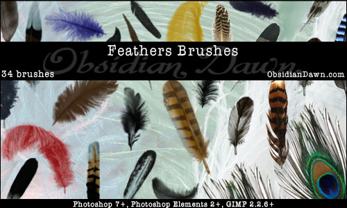 Feathers Photoshop Brushes